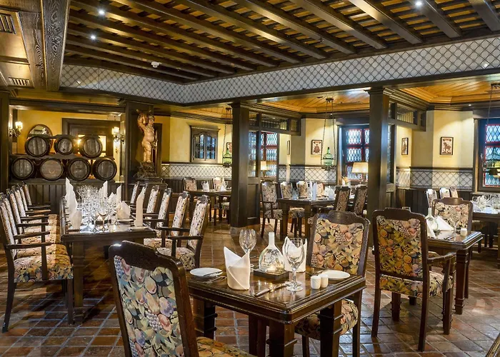 酒店 玛丽蒂姆维尔茨堡酒店 维尔茨堡