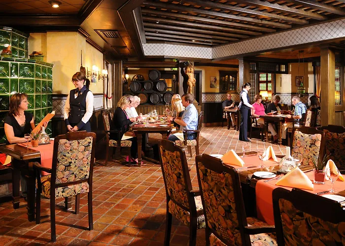 酒店 玛丽蒂姆维尔茨堡酒店 维尔茨堡